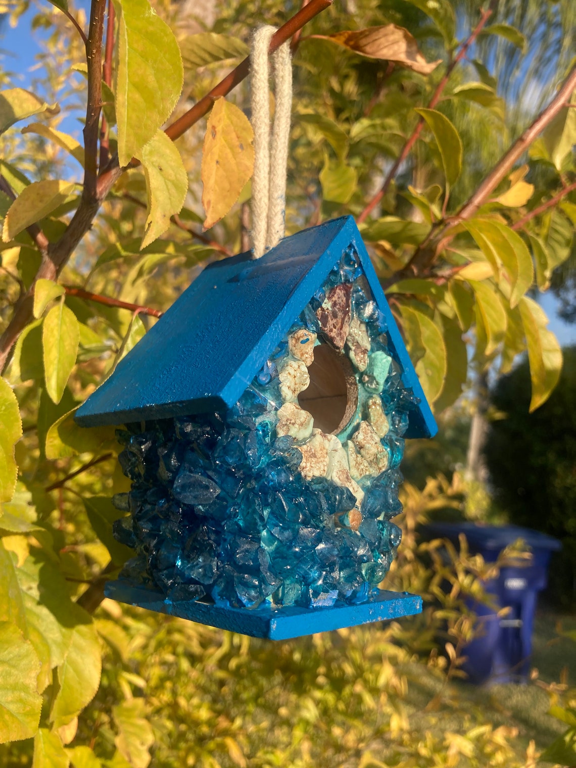 Glass Bird House Etsy