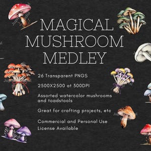 25 Magic Mushroom Medley Clipart Bundle- PNG Transparent Background, Digital Download, Paper Craft, Scrapbooking