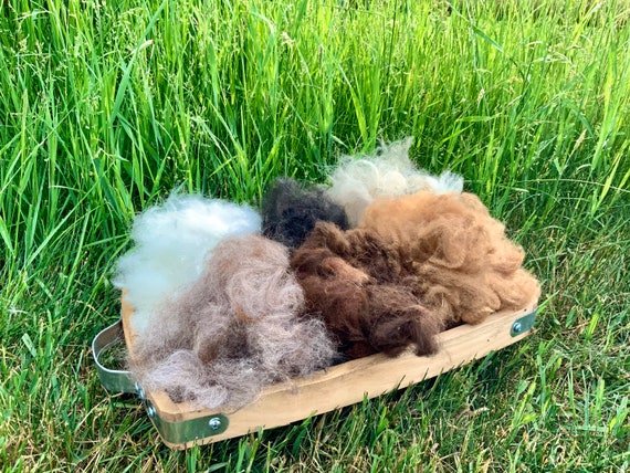 Natural Alpaca Fiber for Bird Nesting: Eco-Friendly Raw Material