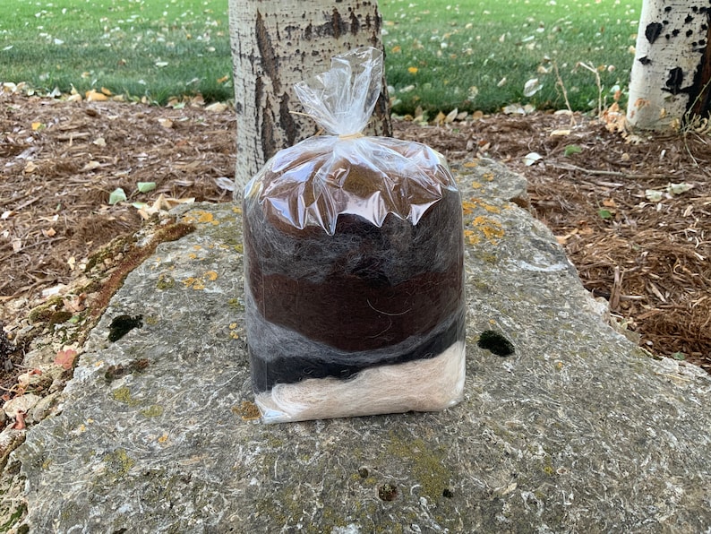 May include: A clear plastic bag filled with brown, black, and white wool roving. The roving is layered in a gradient pattern.