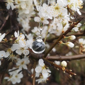 May include: A silver chain necklace with a clear glass orb pendant containing black and white feathers. The necklace is hanging from a branch of a tree with white blossoms.