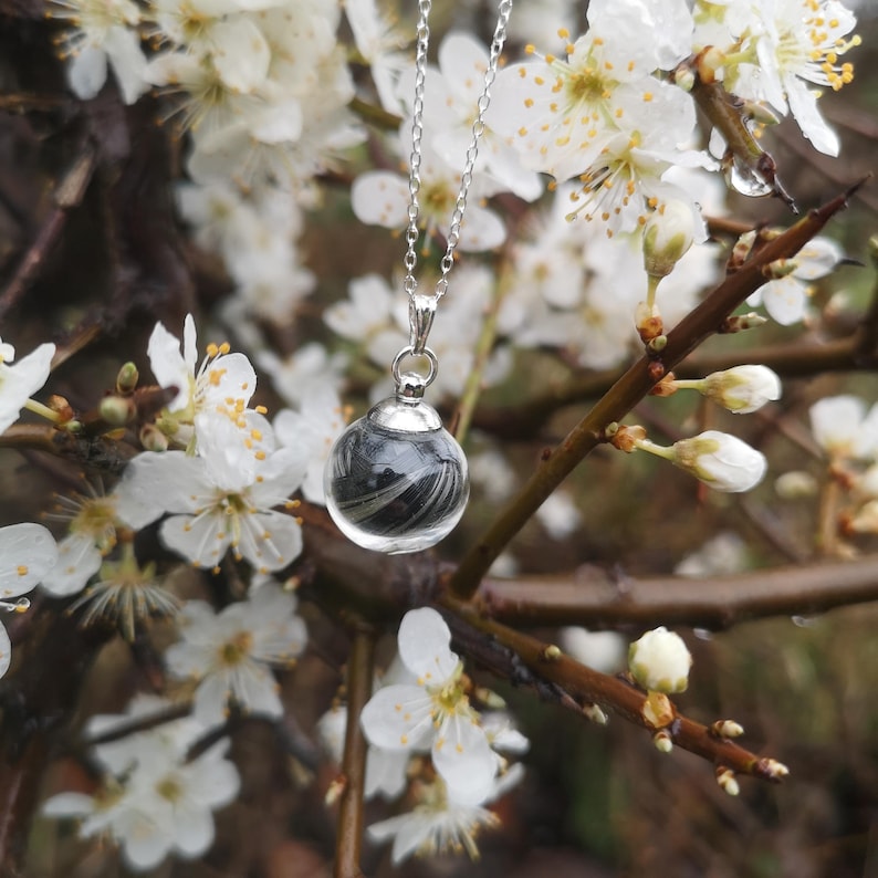 May include: A silver chain necklace with a clear glass orb pendant containing black and white feathers. The necklace is hanging from a branch of a tree with white blossoms.