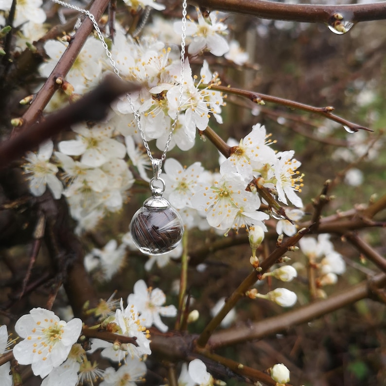 May include: A silver chain necklace with a clear glass orb pendant containing brown hair. The necklace is hanging from a branch of a tree with white blossoms.