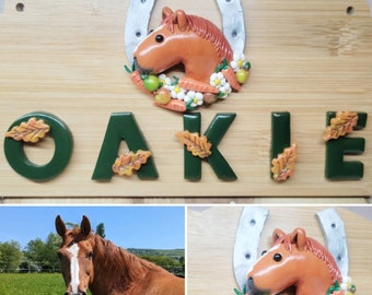 Equestrian Personalised Stable Plaque. Name Plate. Handcrafted Stable Name Plate with Polymer Clay Model of your Horse.