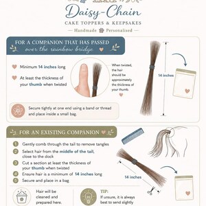May include: An instructional infographic for Daisy-Chain Cake Toppers & Keepsakes detailing how to collect horsehair. It includes diagrams showing a 14-inch length requirement, hair thickness compared to a thumb, and steps for preparing hair from passed or existing companions for mailing.