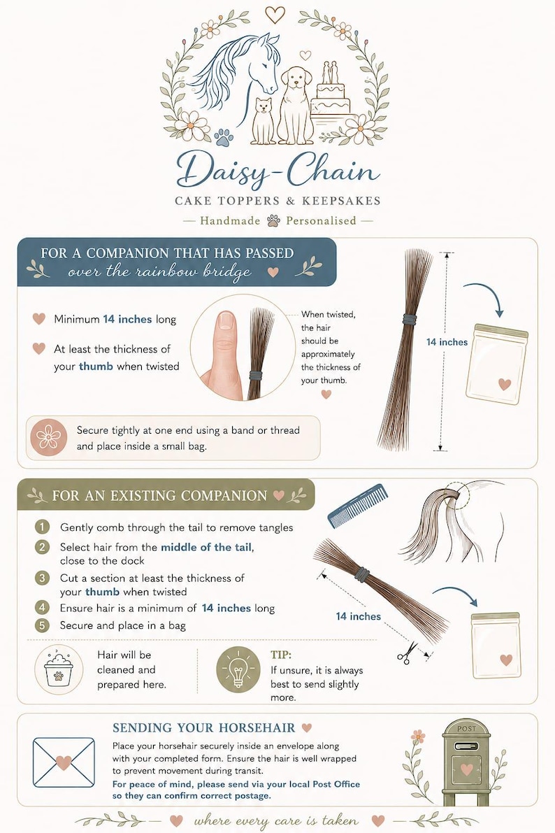 May include: An instructional infographic for Daisy-Chain Cake Toppers & Keepsakes detailing how to collect horsehair. It includes diagrams showing a 14-inch length requirement, hair thickness compared to a thumb, and steps for preparing hair from passed or existing companions for mailing.