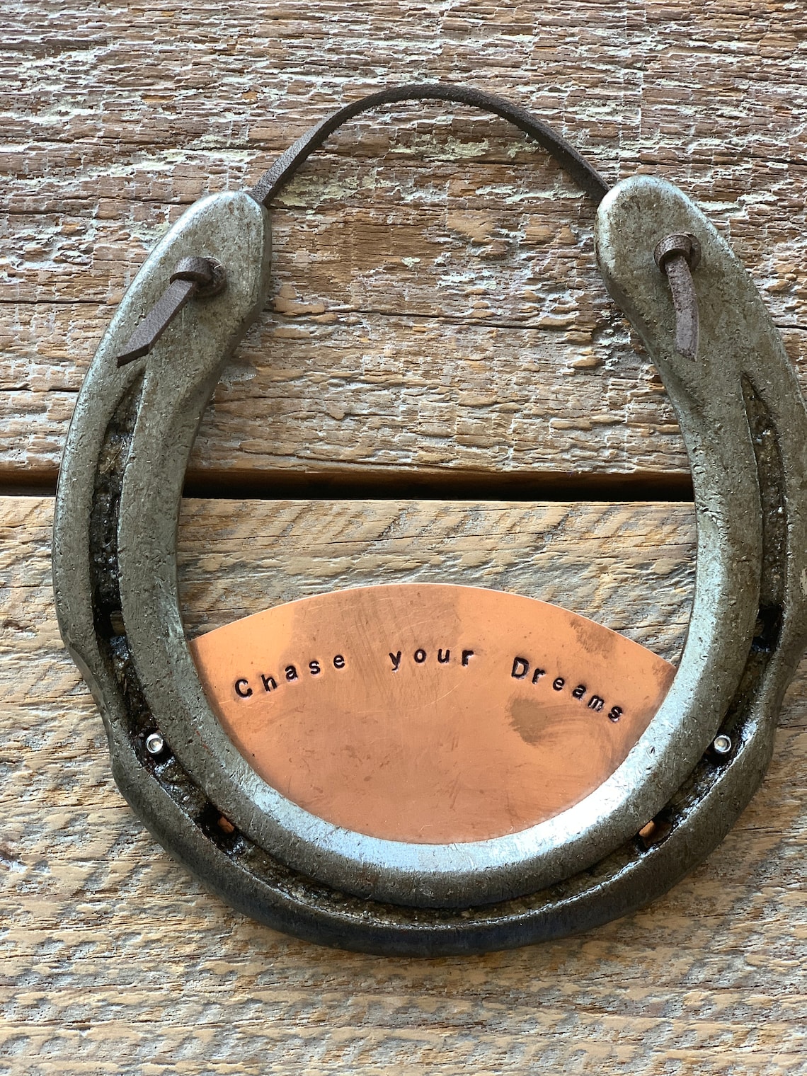 Chase Your Dreams Horse Shoe Plaque Decorative Wall Hanging Etsy