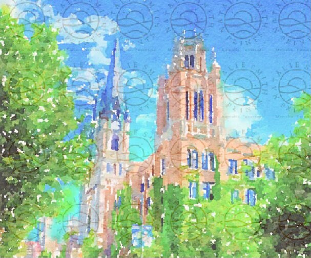 OPCIONES Marquette University Wall Art College Watercolor Etsy