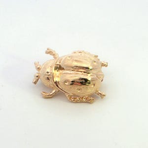 May include: A gold-colored ladybug brooch. The brooch is made of a shiny, metallic material and features detailed wings and body segments. The ladybug is a classic insect design, perfect for adding a touch of nature-inspired flair to any outfit.