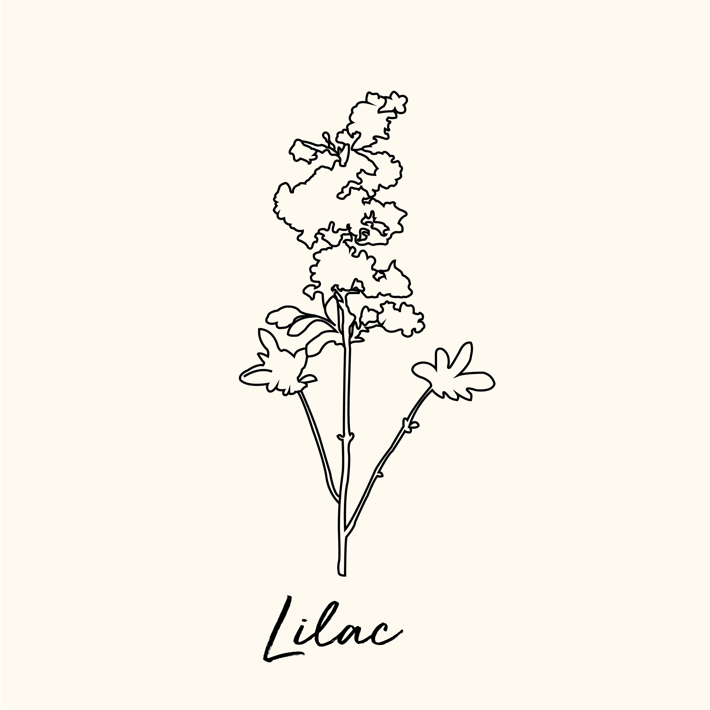 Flower Line Art - Etsy