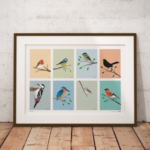 Multiple British Birds - Garden Birds - Illustration Graphic Print Poster