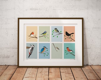 Multiple British Birds - Garden Birds - Illustration Graphic Print Poster