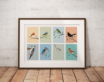 May include: Framed print featuring eight colorful illustrations of various bird species perched on branches. The artwork includes a robin, blue tit, great tit, blackbird, woodpecker, kingfisher, long-tailed tit, and bullfinch. The frame is brown.
