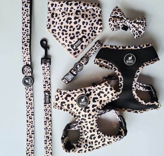 Wild thing dog harness Clearance