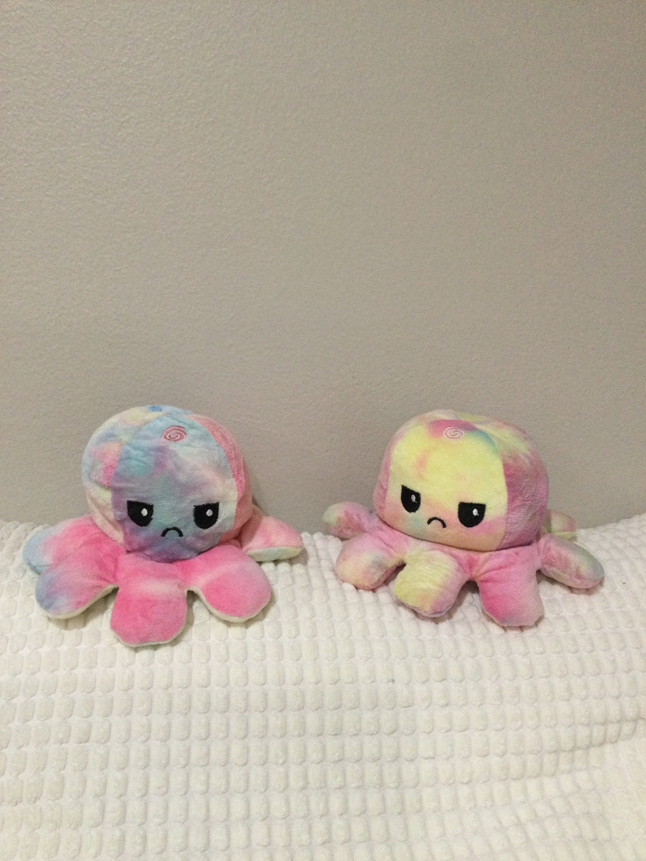 little octopus teddy