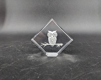 Pequeño pisapapeles de búho Lucite grabado 2 1/2'' por 3 1/2''