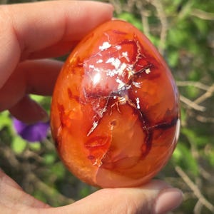Beautiful polished carnelian crystal egg shape/palm size/success/motivation/sacral chakra/meditation/pocket stone/cleansing aura/energy/orca