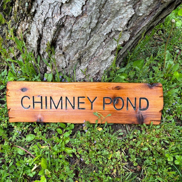 Custom Location Sign, Custom Wood Carved Sign, Lake House Sign, Housewarming Gift, Gift for Hiker,  Carved Outdoor Sign