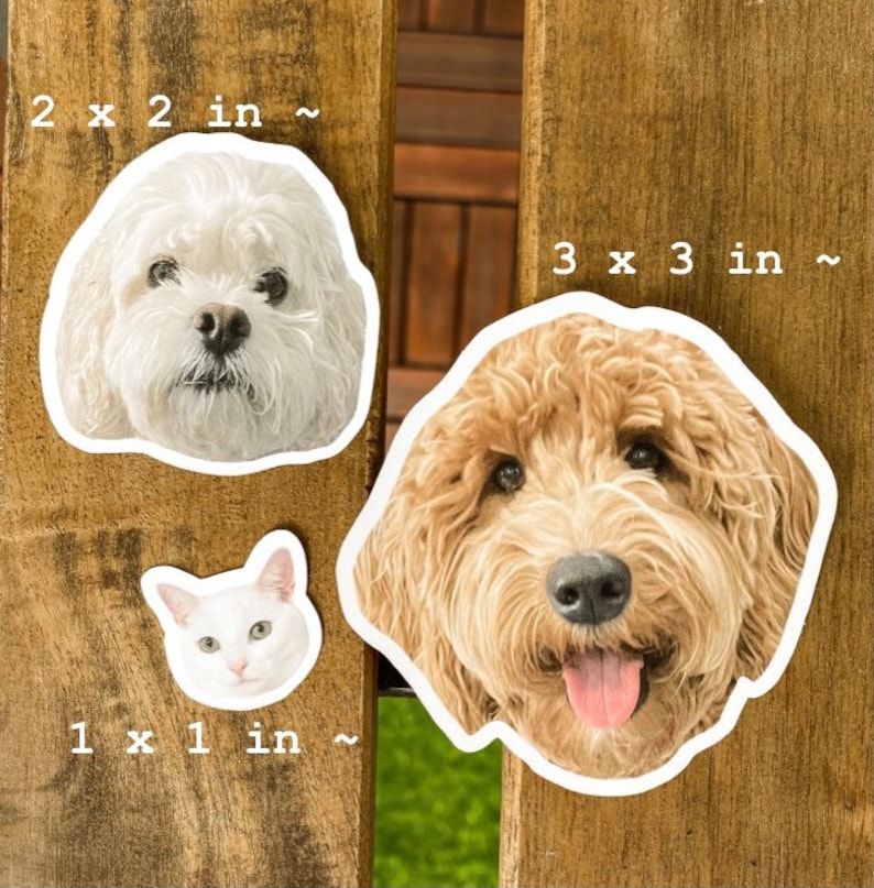 Custom Pet Stickers, Custom Dog Sticker, Custom Cat Sticker, Water Bottle Sticker, Dog Mom Gift, Pets, Christmas Gift | Christmas Stickers 