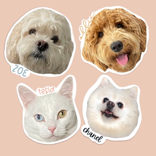 Custom Stickers Pet Birthday Laptop Stickers Dog Sticker Etsy