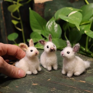 Needle Felted Baby Bunny, Cottontail Rabbit, Bunnyrabbit, Gift for animal lover image 4