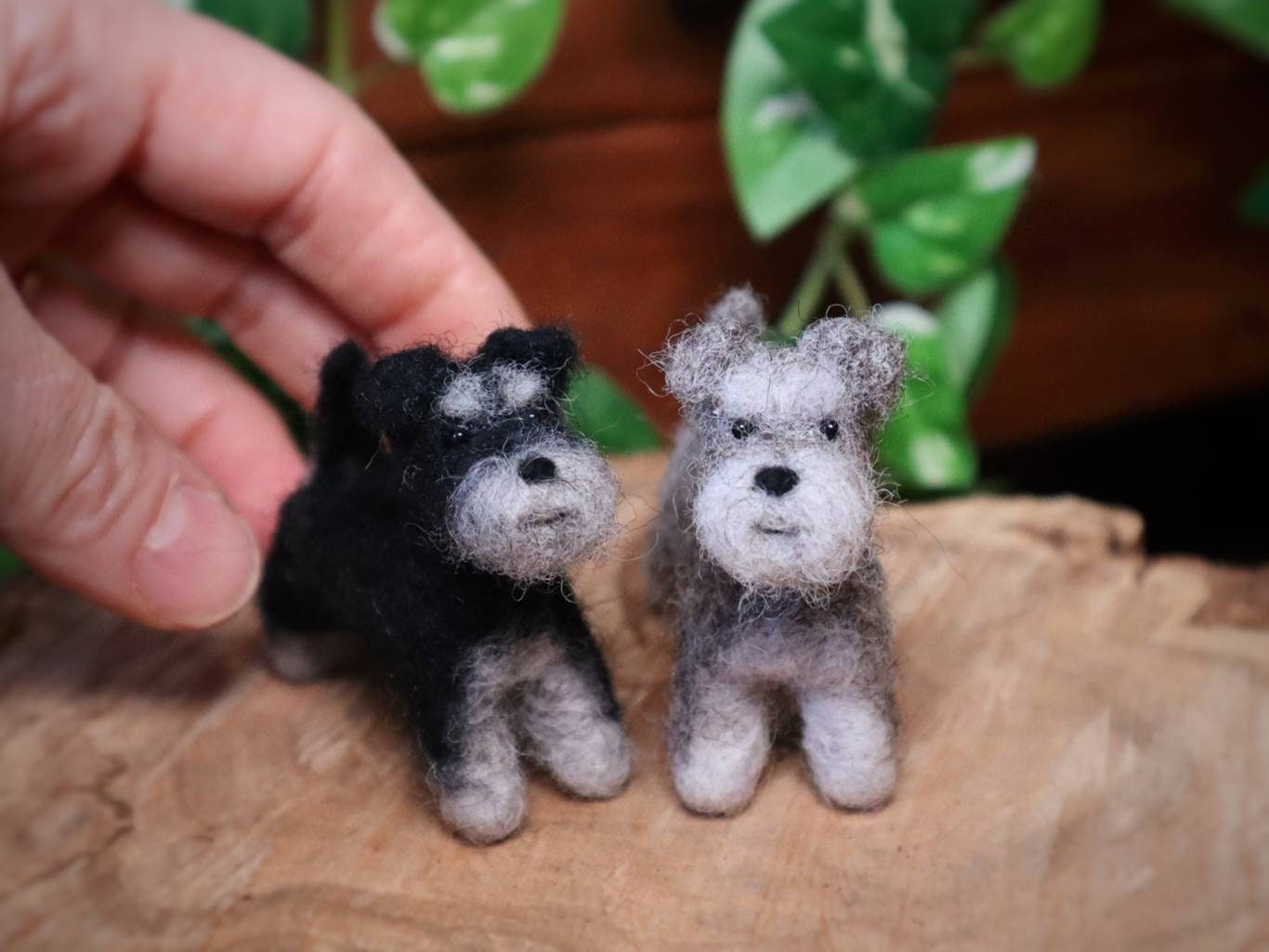 Schnauzer Miniatura Peluche Schnauzer Gigante Schnauzer Feutré à L