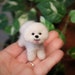 see more listings in the Dollhouse Dogs section