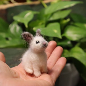 Needle Felted Baby Bunny, Cottontail Rabbit, Bunnyrabbit, Gift for animal lover image 8