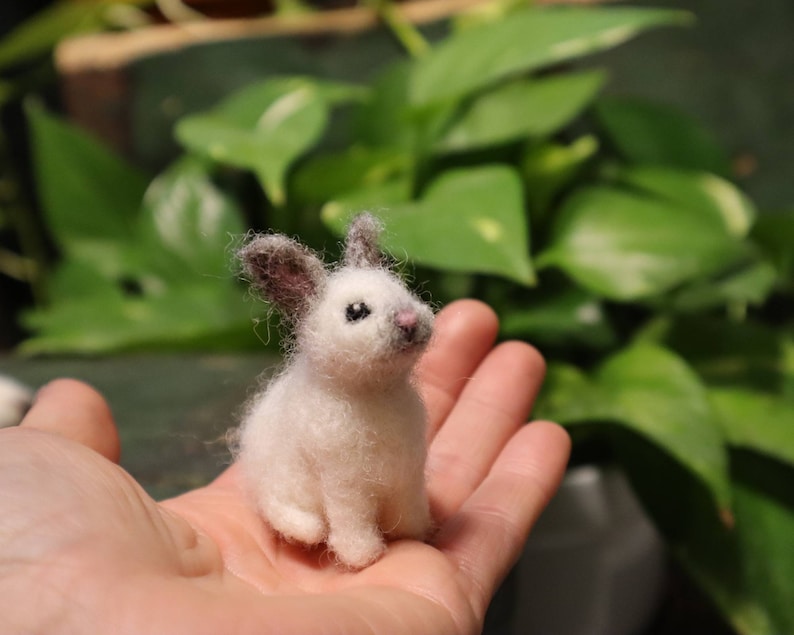 Needle Felted Baby Bunny, Cottontail Rabbit, Bunnyrabbit, Gift for animal lover image 8