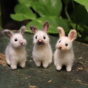 Needle Felted Baby Bunny, Cottontail Rabbit, Bunnyrabbit, Gift for animal lover image 5