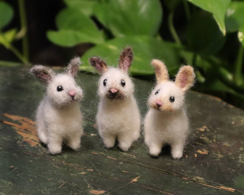 Needle Felted Baby Bunny, Cottontail Rabbit, Bunnyrabbit, Gift for animal lover image 5