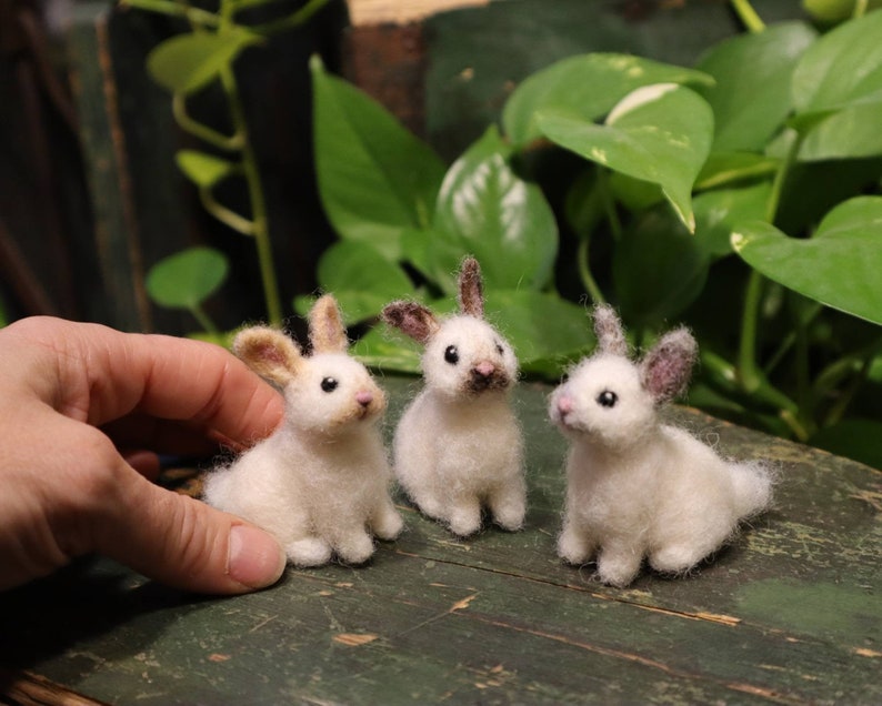 Needle Felted Baby Bunny, Cottontail Rabbit, Bunnyrabbit, Gift for animal lover image 4