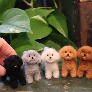 Needle Felted Poodle, Miniature, Dollhouse dog