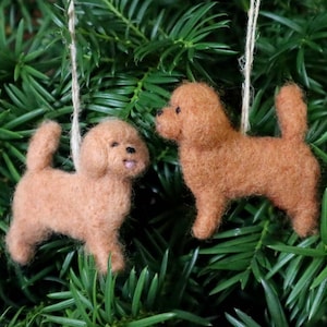 Könnte beinhalten: Zwei Filz-Pudel-Anhänger, die an einem grünen Kiefernbaumzweig hängen. Die Anhänger sind hellbraun und haben eine Schnur zum Aufhängen.