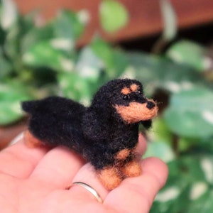 Needle Felted Dachshund, Miniature, Dollhouse dog