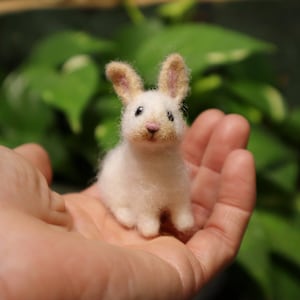 Needle Felted Baby Bunny, Cottontail Rabbit, Bunnyrabbit, Gift for animal lover image 1