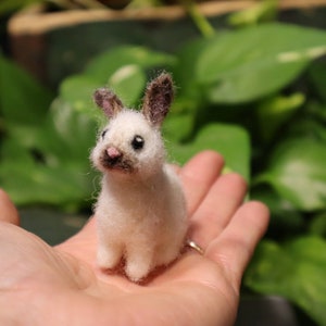 Needle Felted Baby Bunny, Cottontail Rabbit, Bunnyrabbit, Gift for animal lover image 7