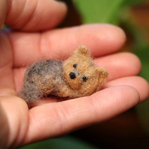 Needlefelted Sleepy Yorkie , Miniature, Dollhouse dog