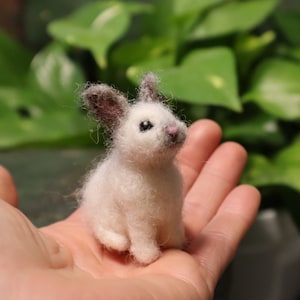Needle Felted Baby Bunny, Cottontail Rabbit, Bunnyrabbit, Gift for animal lover image 3