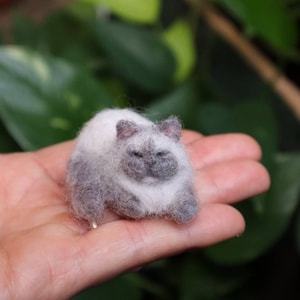 Könnte beinhalten: Eine kleine, handgefilzte Katzenfigur mit weißem Fell und grauen Markierungen. Die Katze ist in einer Schlafposition zusammengerollt, mit den Pfoten unter dem Körper.
