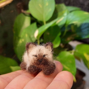 Op de afbeelding: Een klein, handgevoeld kattenbeeldje met witte vacht en bruine markeringen. De kat ligt opgerold in een slaaphouding met zijn ogen dicht.
