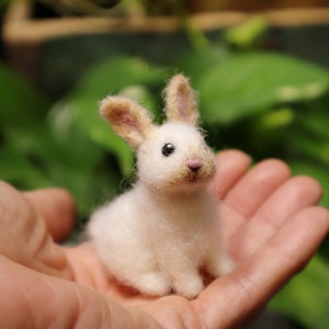 Needle Felted Baby Bunny, Cottontail Rabbit, Bunnyrabbit, Gift for animal lover image 2