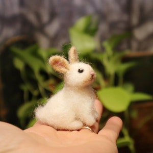 Needle Felted Baby Bunny, Cottontail Rabbit, Bunnyrabbit, Gift for animal lover image 6