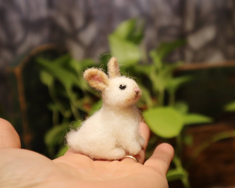 Needle Felted Baby Bunny, Cottontail Rabbit, Bunnyrabbit, Gift for animal lover image 6