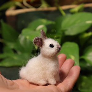Needle Felted Baby Bunny, Cottontail Rabbit, Bunnyrabbit, Gift for animal lover image 9