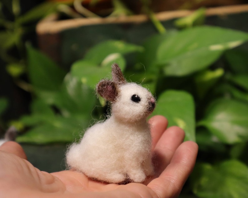 Needle Felted Baby Bunny, Cottontail Rabbit, Bunnyrabbit, Gift for animal lover image 9