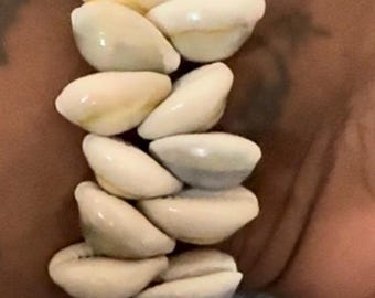 Cowrie Shells Cluster Bracelet