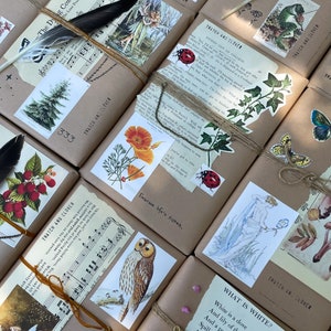 Blind Date With a Book | Surprise Books | Christmas Gifts for Readers, Book Lovers, and Bibliophiles | Cottagecore, Academia, Nature Lover