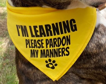 lps white great dane