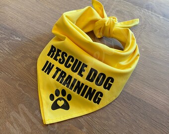 rehome a dog for free near me